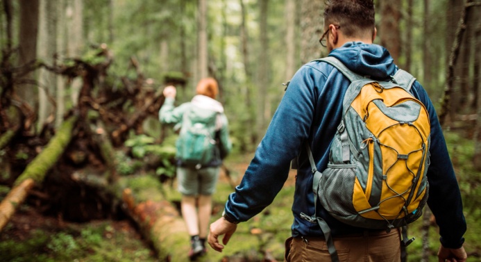 Kaksi ihmistä kävelee vehreässä metsässä.