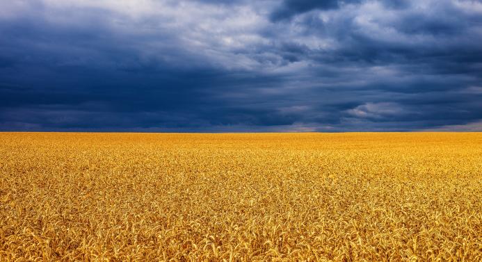 Jotpa ukrainalaisten valtionavustus