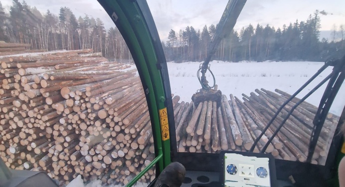Näkymä metsäkoneen kuljettajan paikalta. Koneen ikkunasta näkyy tukkeja lumihangessa.